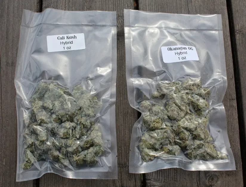 Marihuana