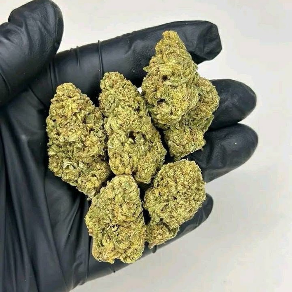 cannabis kopen online