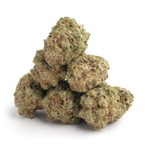 Gorilla Glue #4 Strain