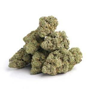 RS11 Strain