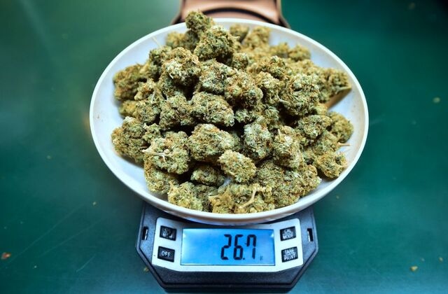 Weed