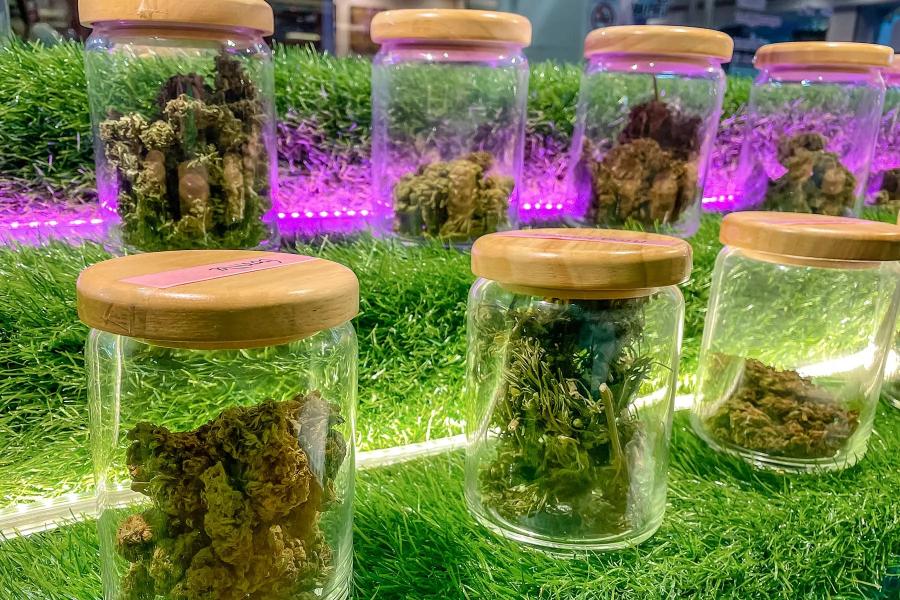 cannabis kopen online